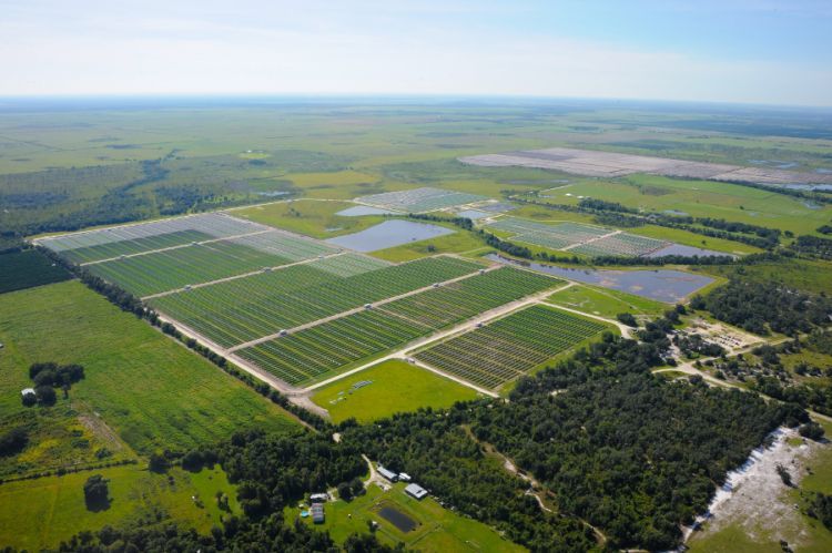 The eight projects are all expected to be completed by early 2018. Image: FPL