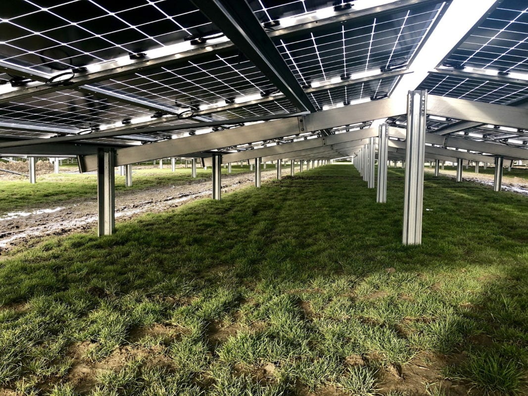 The company publicly issued a convertible corporate bond in the first half of 2019 to raise funds for the company's planned annual production output of 1.5GW of n-type mono TOPCON bifacial cells. Image: Jolywood