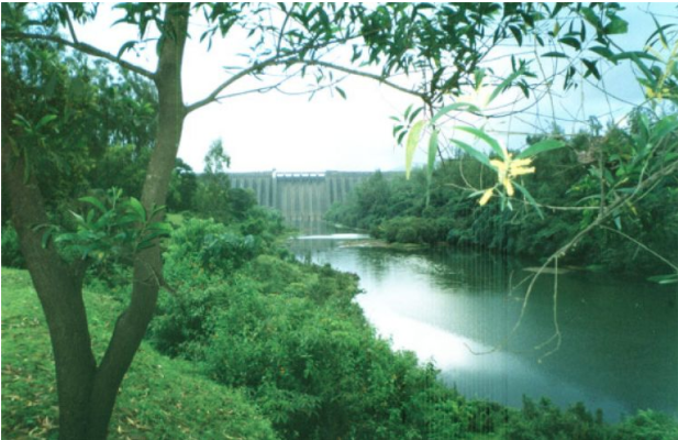 Kolkiwadi Dam in Maharashtra part of the Koyna project. Credit: Nichalp. Wikimedia Commons