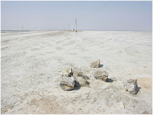 The Sambhar salt lake in Rajasthan. Flickr: Nevil Zaveri
